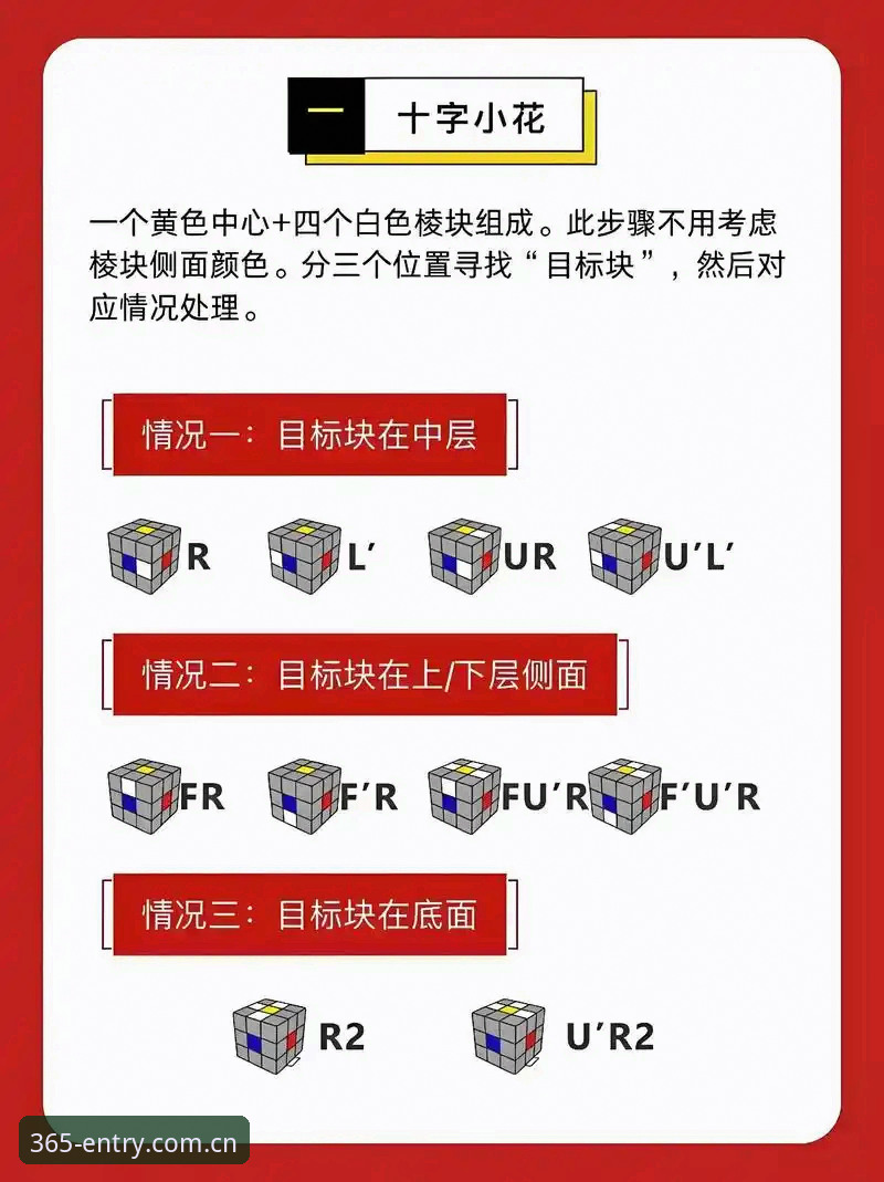 2026类似官网直达路径的竞品数据站 法网观赛进阶教程:从新手到大神的三步操作指南